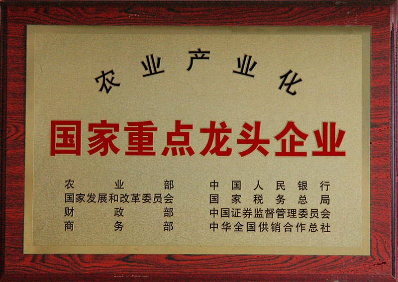 農(nóng)業(yè)產(chǎn)業(yè)化國(guó)際重點(diǎn)龍頭企業(yè)