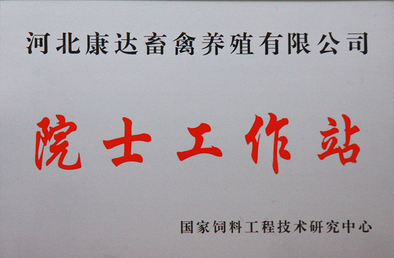 榮譽(yù)證書